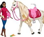 Barbie Dream Horse & Black Hair Doll